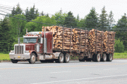 Expert Available: Softwood Lumber Expert Available: Softwood Lumber