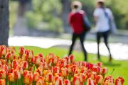 Easter Weekend 2017 – What’s Open and Closed at Carleton University Easter Weekend 2017 – What’s Open and Closed at Carleton University