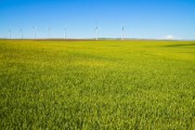 Carleton University Launches Program for Climate Change Scholars in Sub-Saharan Africa and Canada Carleton University Launches Program for Climate Change Scholars in Sub-Saharan Africa and Canada
