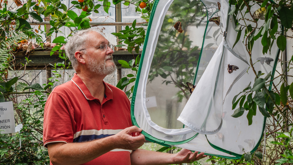 A man examines a butterfly net at the 2024 Carleton Butterfly Show