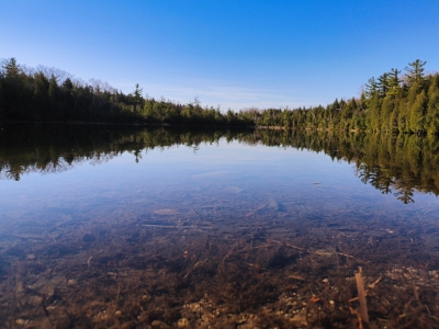 Photo for the news post: Crawford Lake Named as Defining Site for Proposed Anthropocene Epoch