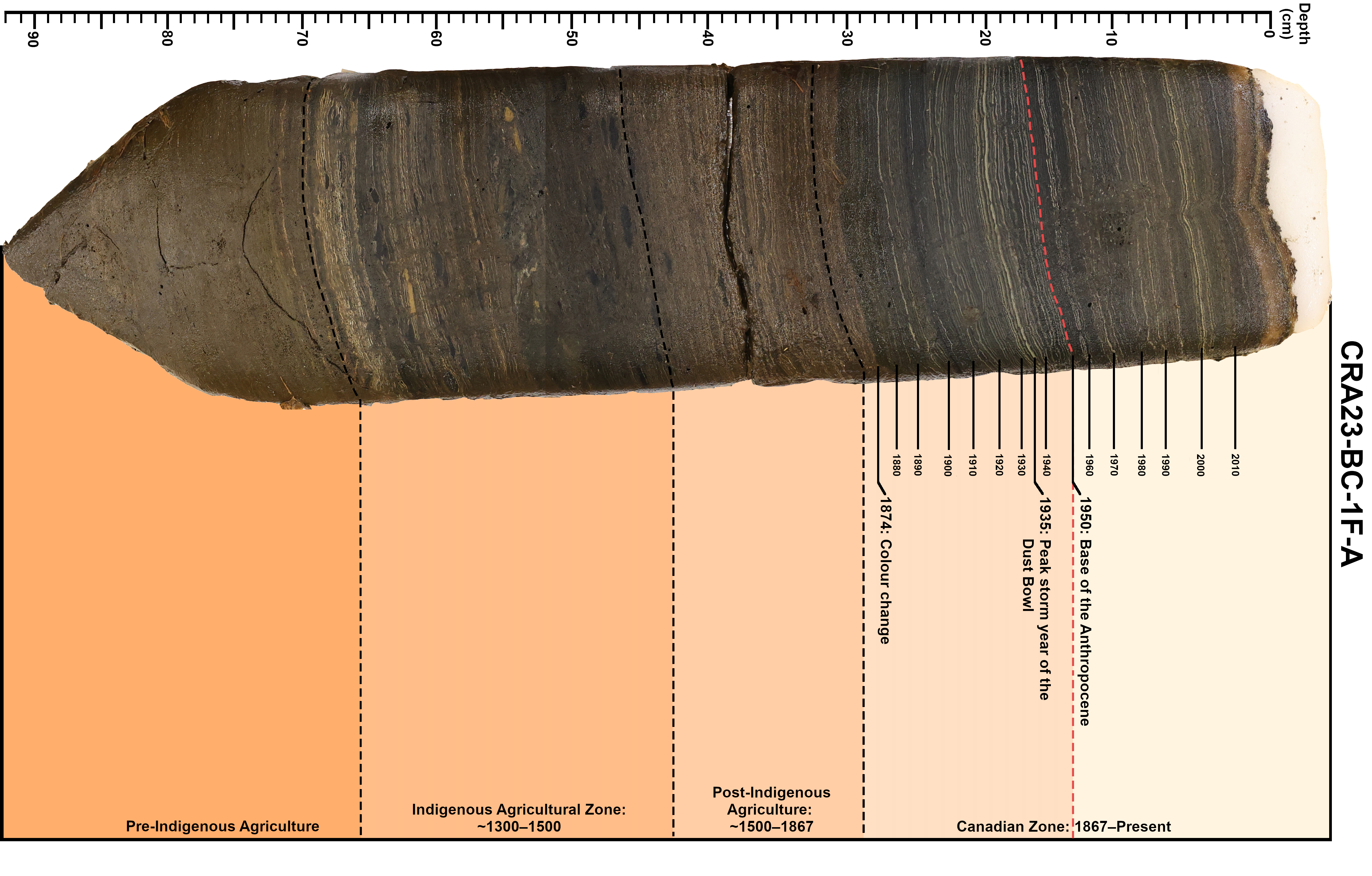 Sections of a piece of freeze core listed with a marker indicating the Base of the Anthropocene