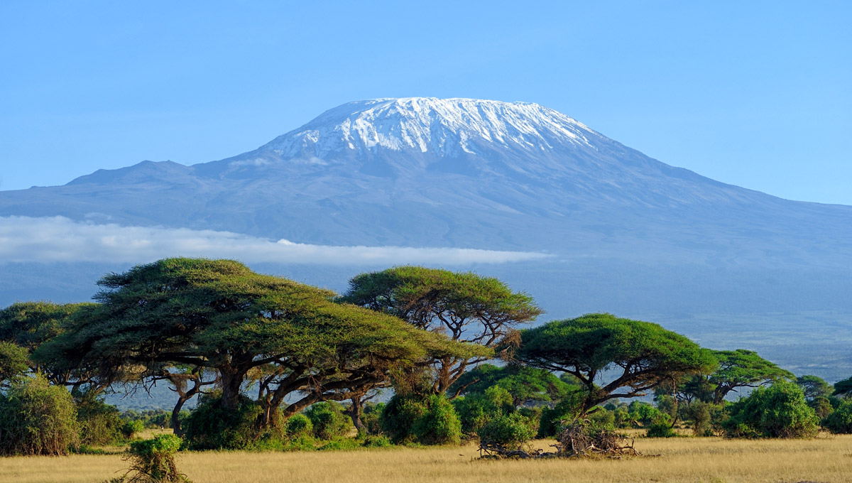 A view of Mount Kilimanjaro in the distance with a treed-plain in the foreground.