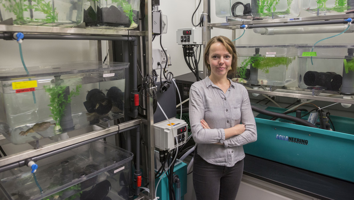 Hillary Maddin in her lab surrounded by aquariums.