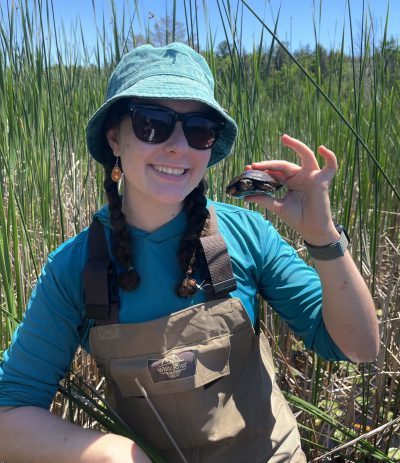 A woman in a blue hat and brown overalls, holds a small turtle in a marsh