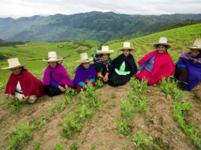 Photo for the news post: Carleton University Partners with Cuso International to Help Farmers in Peru