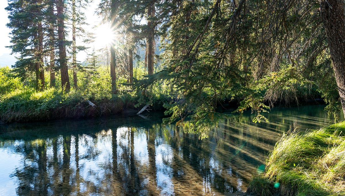 Banff National Park, Canadian Rockies, Alberta, Canada