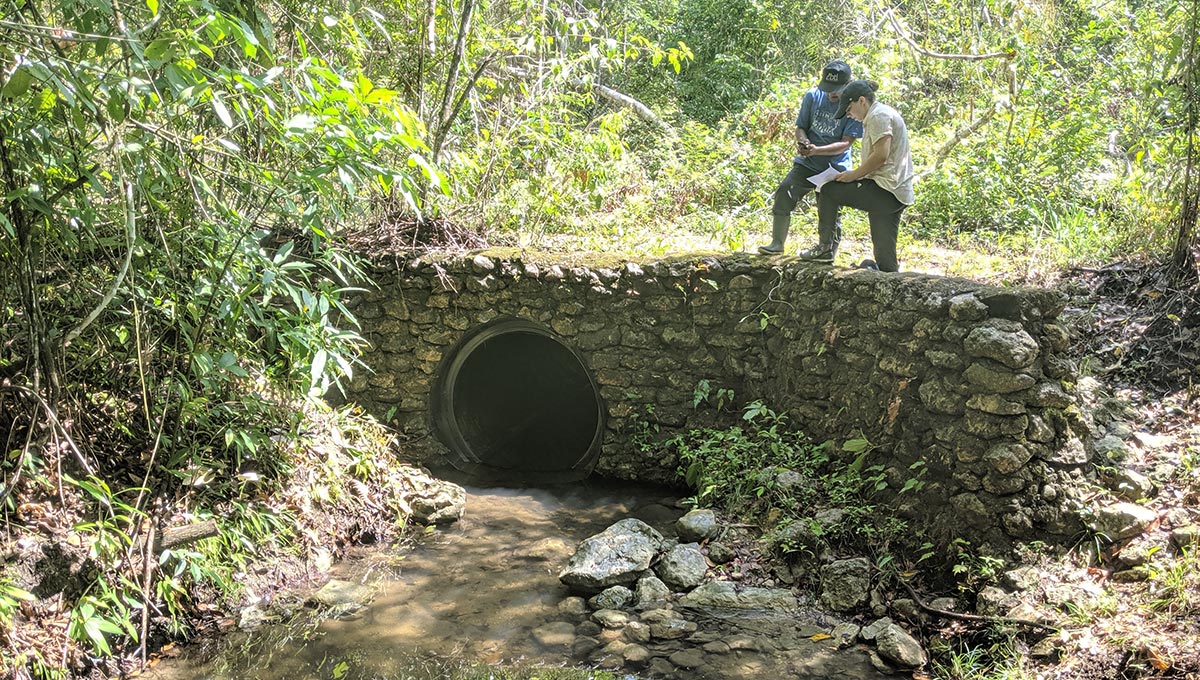 Belize Experience Leaves Deep Impression on Carleton Students