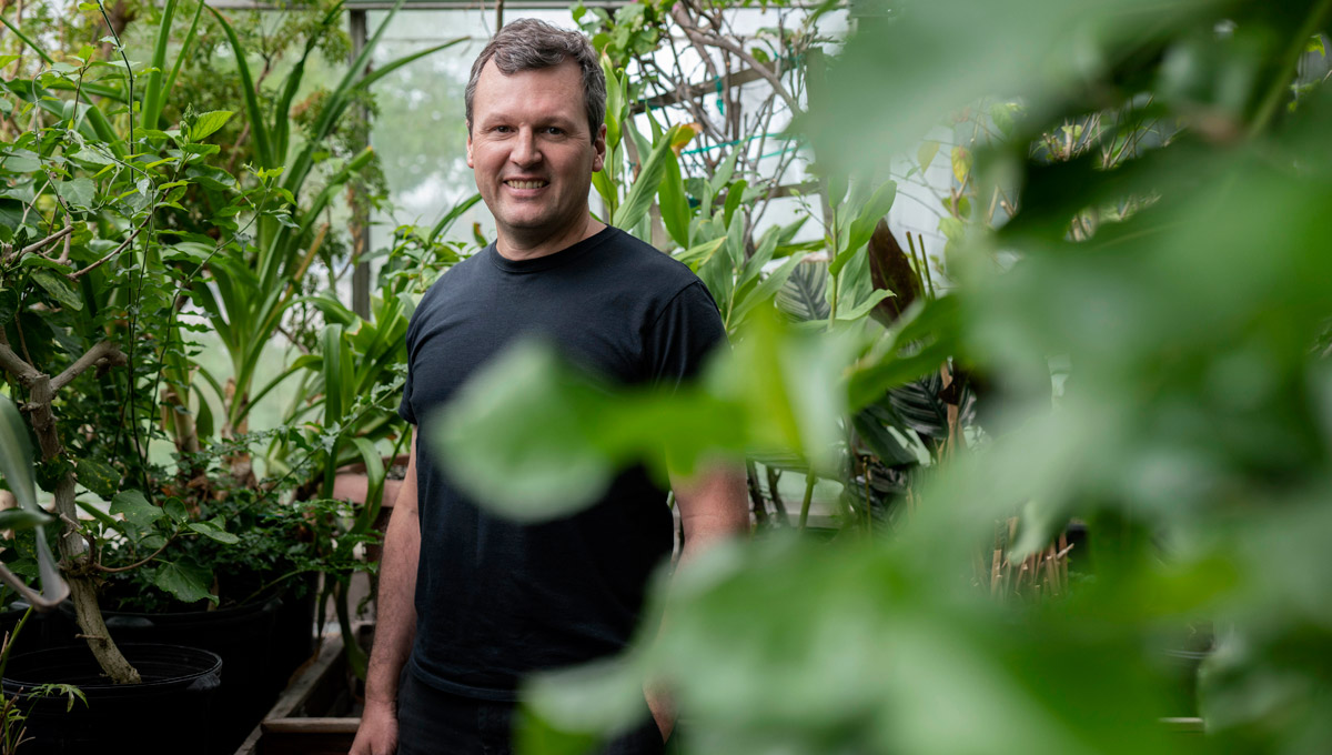 Prof. Bill Willmore poses in a greenhouse surrounded by tropical plants.