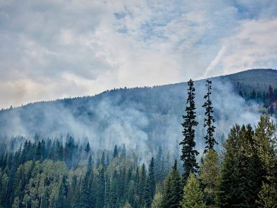 Photo for the news post: Our AI Model Can Help Improve Indoor Ventilation During Wildfire Season