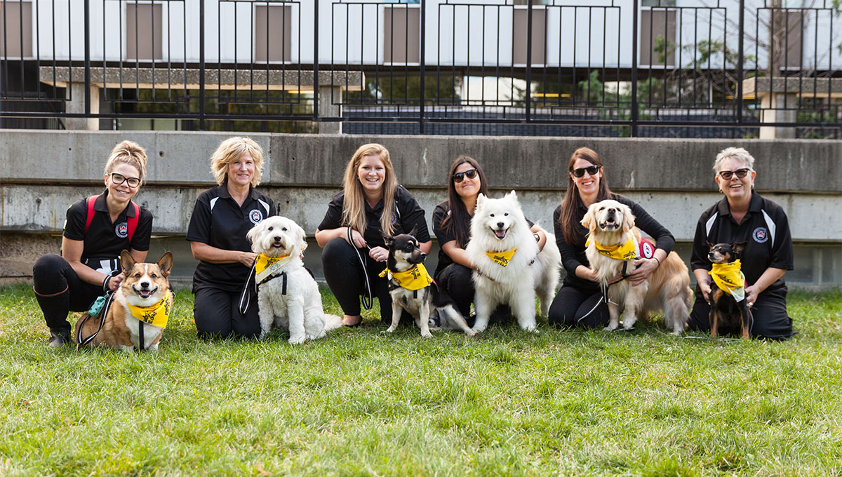 Carleton Adds Six New Dogs to Popular Therapy Program