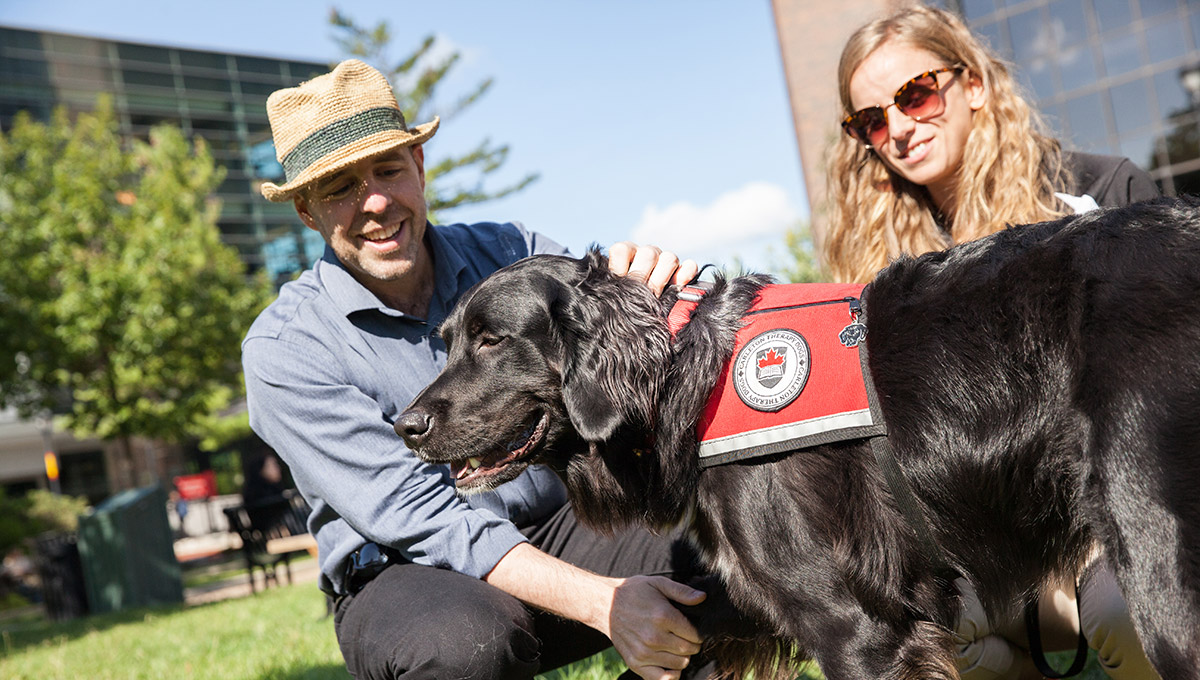 Carleton University President Benoit-Antoine Bacon meeting one of the new therapy dogs on campus