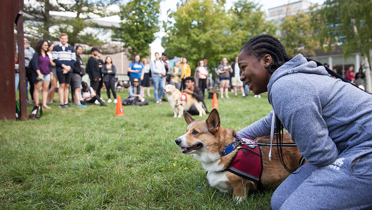 Carleton Adds Six New Dogs to Popular Therapy Program