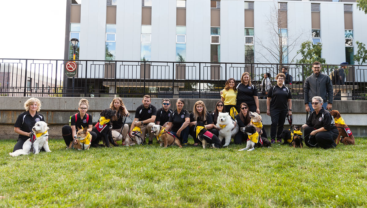 Carleton Adds Six New Dogs to Popular Therapy Program