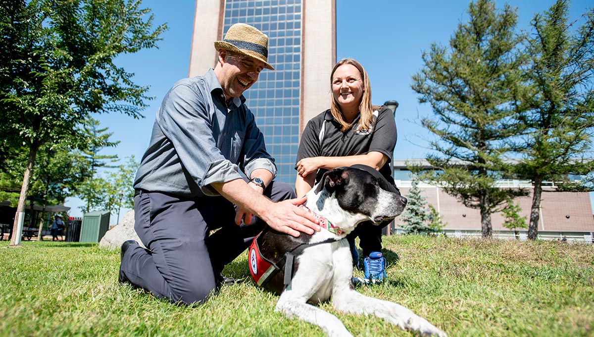 Carleton Expands Therapy Dog Program