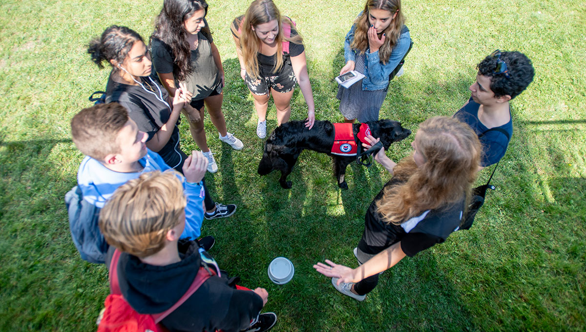 Carleton Expands Therapy Dog Program