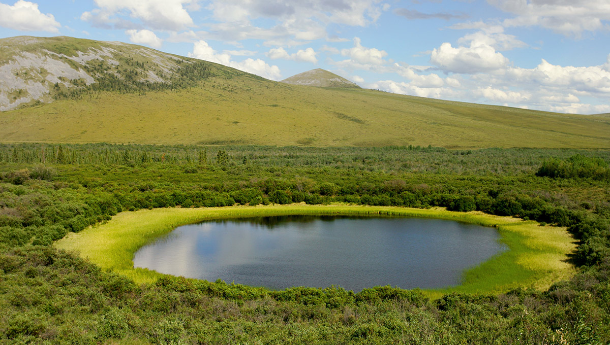 A photo of a permafrost lake in the Artic Circle in Canada. The lake is surrounded by a field of grass and hills in the background.