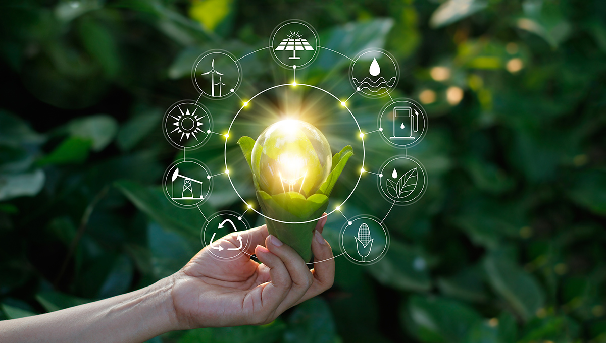 Ecology concept. Hand holding light bulb against nature on green leaf with icons energy sources for renewable, sustainable development, save energy