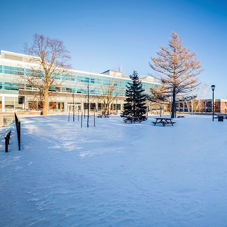 Carleton University campus in winter
