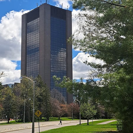 A tall office building with glass windows, surrounded by green trees and grass
