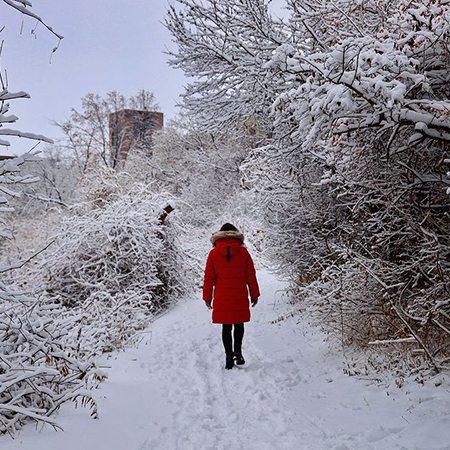 A woman walking away from the camera down a snow covered path surrounded by trees and bushes.