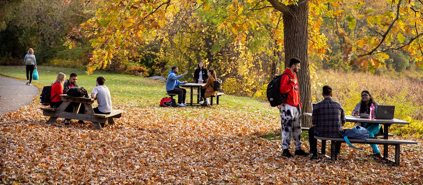 Students sitting on picnic tables outside with leaves on the ground