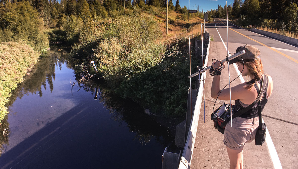 Fish Research Links to Indigenous Heritage