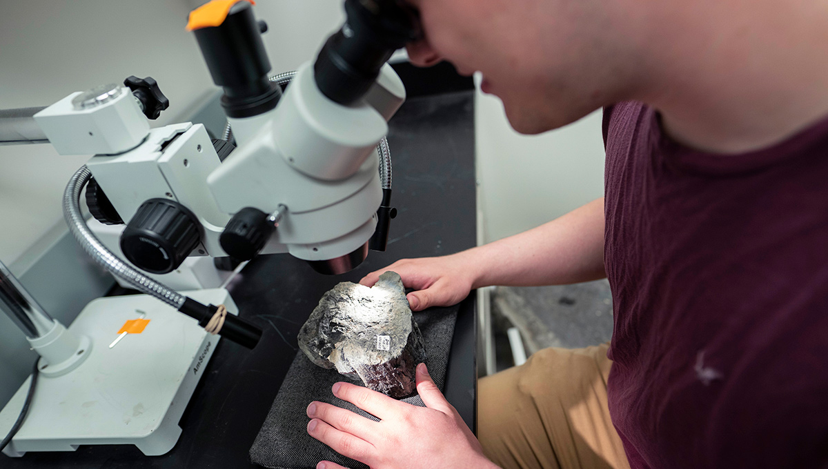 Fossils Aid Probe into Origins of Animals