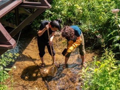 Photo for the news post: Freshwater Bounty: The Hidden Richness of Habitat Close to Home