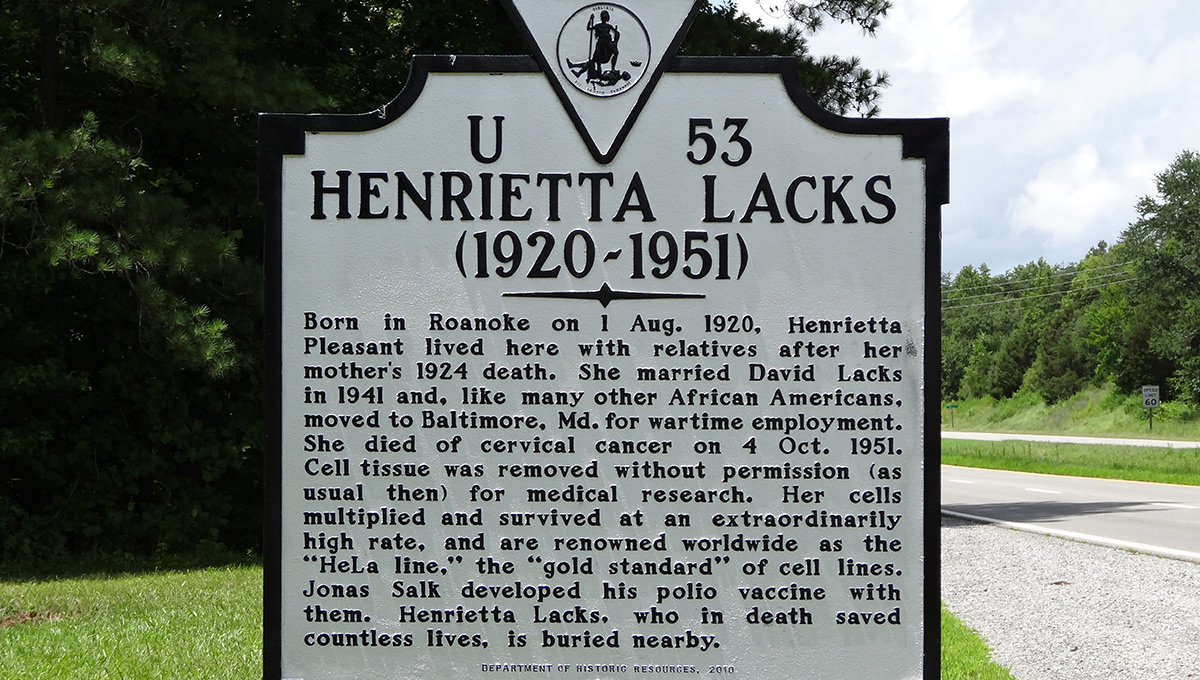 Henrietta Lacks historical marker in Clover, VA (Photo: Emw, CC)
