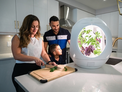 Photo for the news post: High-Tech Food Security: Start-up Develops Indoor Gardening Solution