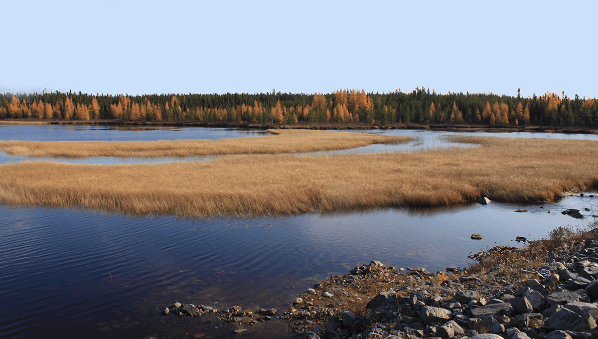 Carleton Linguist Reflects on Unique Eastern Cree Language Website on its 20th Birthday