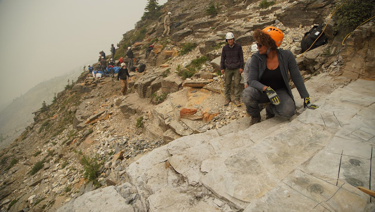 Maydianne Andrade at the Burgess Shale with the field crew of Dr. Jean Bernard Caron (Royal Ontario Museum) during filming of First Animals (the Nature of Things). (Photo: Andy Gregg)