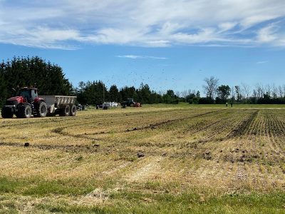 Photo for the news post: How microplastics are making their way into our farmland