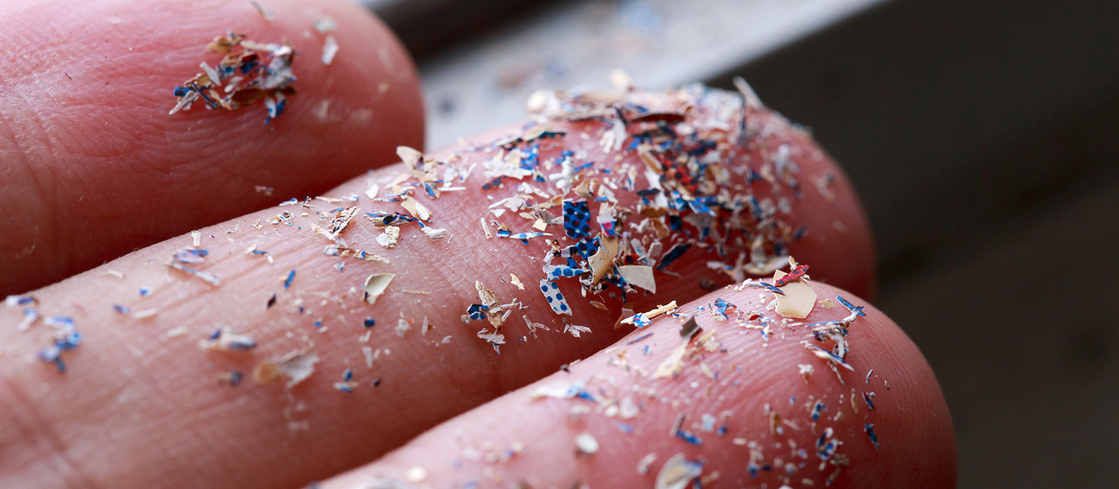 Microplastics seen on fingertips