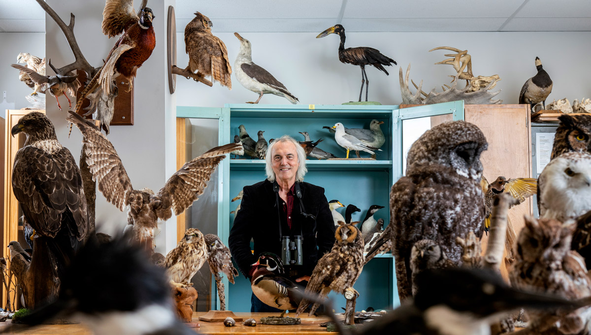 Carleton University Biology Prof. Michael Runtz, pictured here in a lab surrounded by taxidermied animal samples, has published Algonquin Wild, a new book celebrating the 125th anniversary of Algonquin Provincial Park.