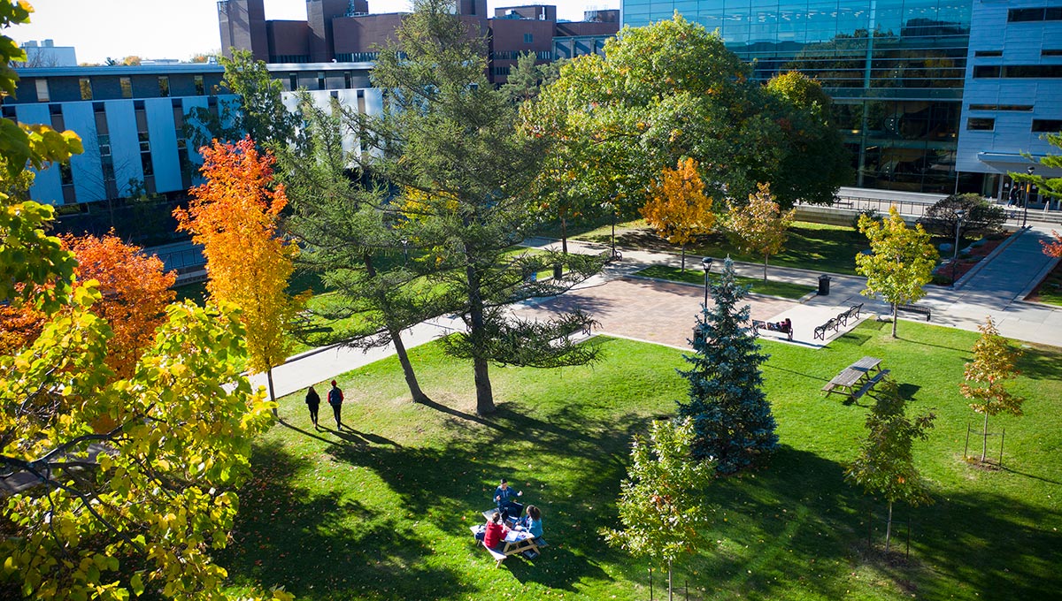 The Quad at Carleton University