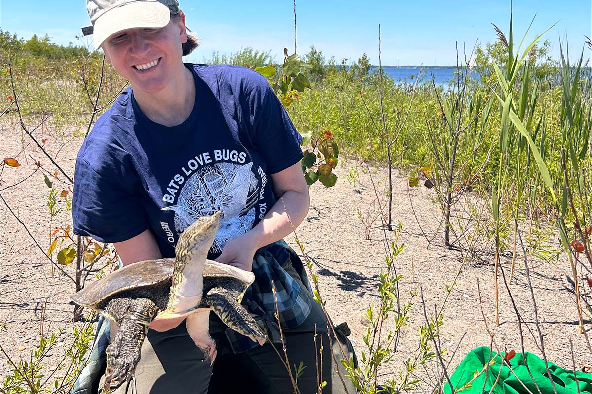 A woman protecting turtles, holding up one that she's helping on a beach.