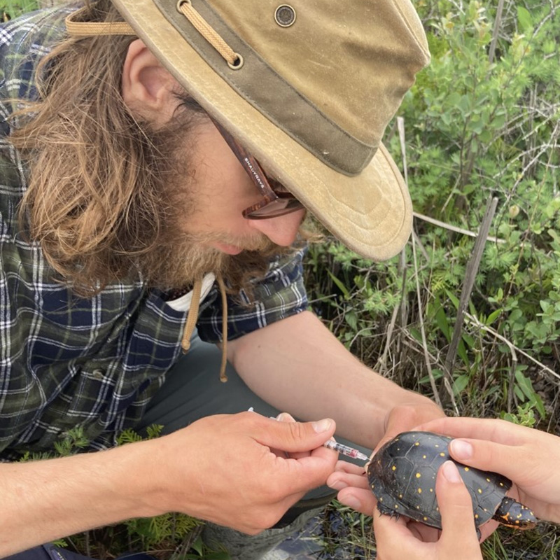 A man wearing a hat and sunglasses protecting and treating turtles in Ontario