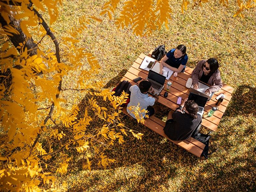 Students sitting on a picnic bench