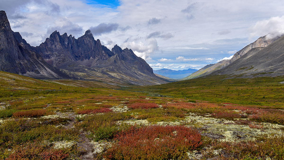 Recovering Yukon Languages