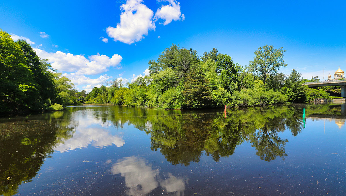 The Rideau River and the trees surrounding it.
