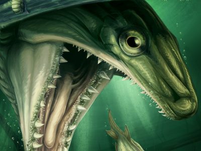 Photo for the news post: A Chance Discovery of a 350 Million-Year-Old Fossil Reveals a New Type of Ray-Finned Fish