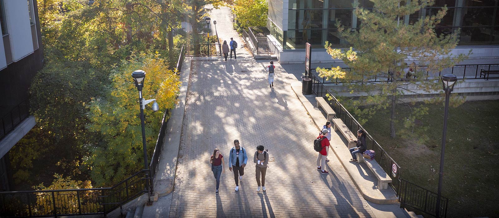 An aerial view of five people walking through the Carleton University quad