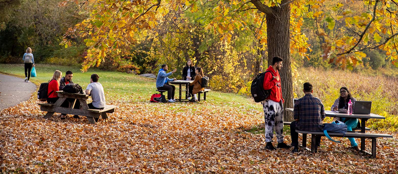 Students interacting while sitting at picnic tables, with fallen leaves covering the ground.