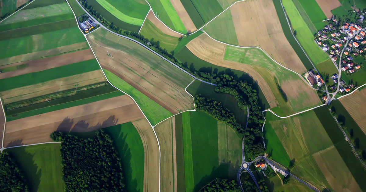 An aerial view of farmland during summer.