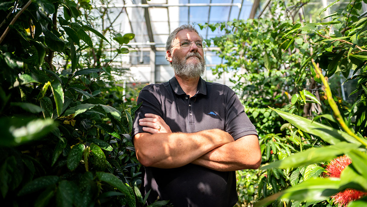 Twenty Years of Floating Beauties at Carleton Butterfly Show