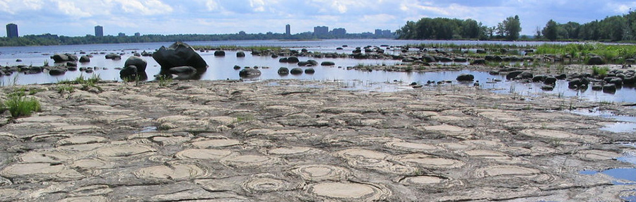 Photo: Champlain Bridge Stromatolites