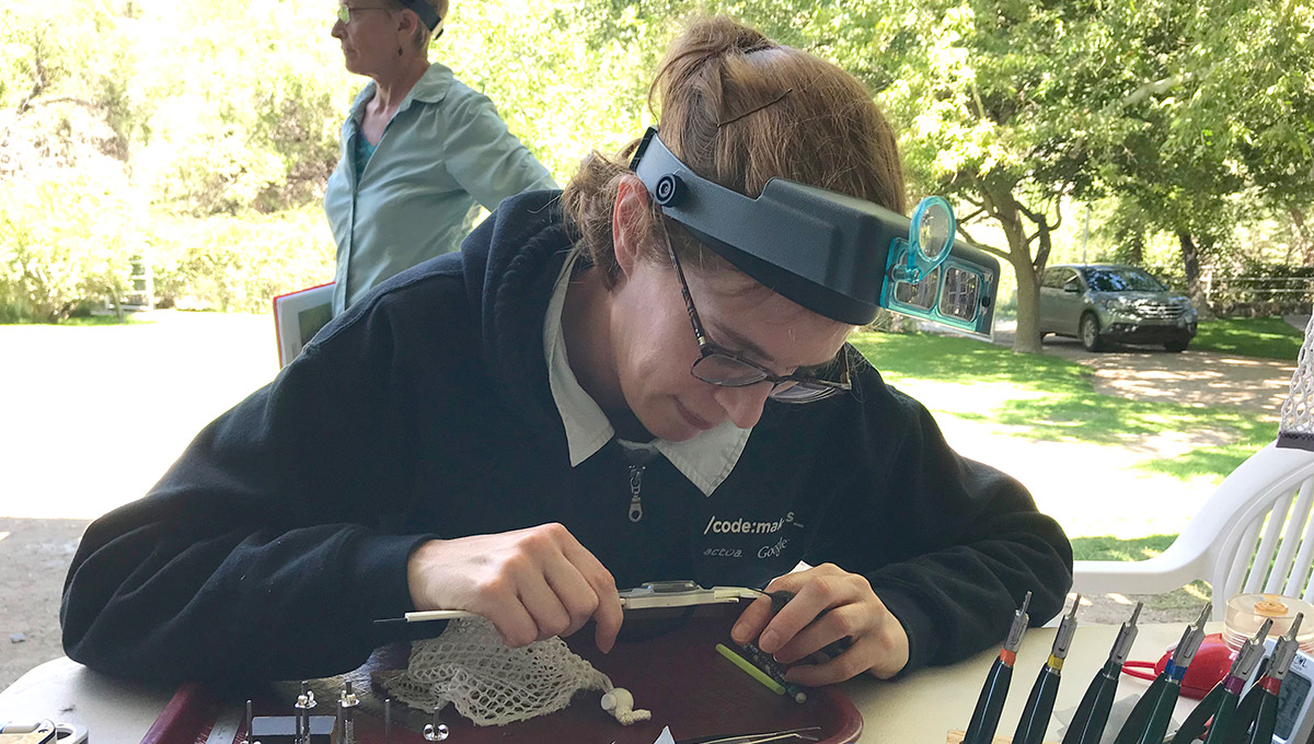 Prof. Roslyn Dakin measuring a hummingbird